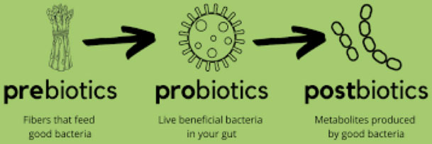 prebiotics probiotics postbiotics