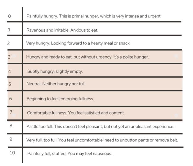 hunger and fullness scale
