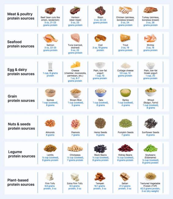 what are good sources of protein