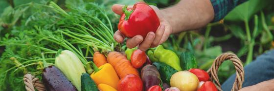 Quieting Food Noise
