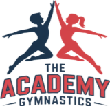 the-academy.png