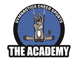 the-academy.png the-academy.png
