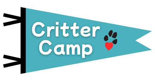 critter-camp.png